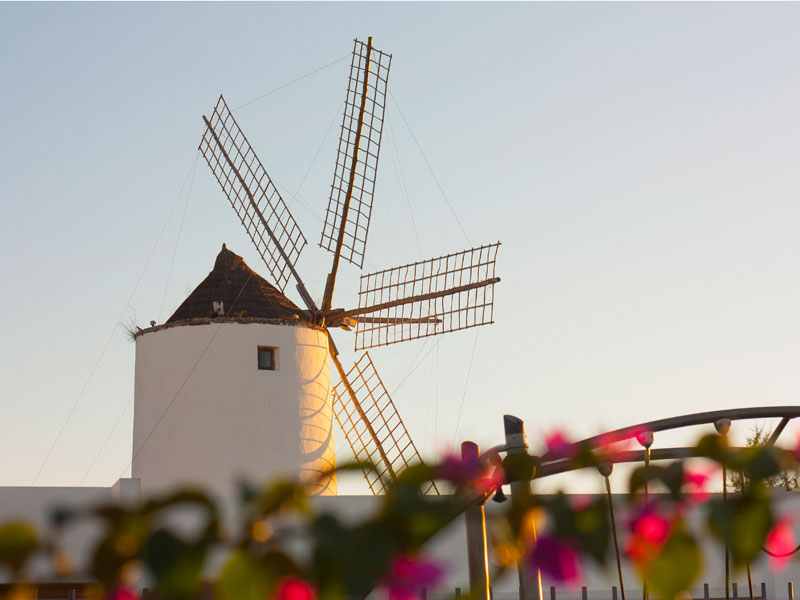 Molinos de viento