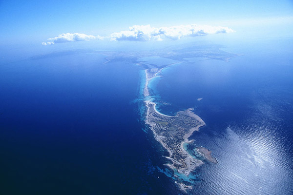 Las praderas de Posidonia Oceanica, Patrimonio de la Humanidad