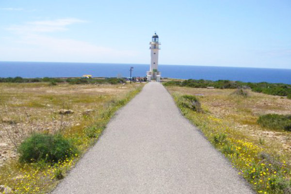 Al sur de las Baleares Cap de Barbaria