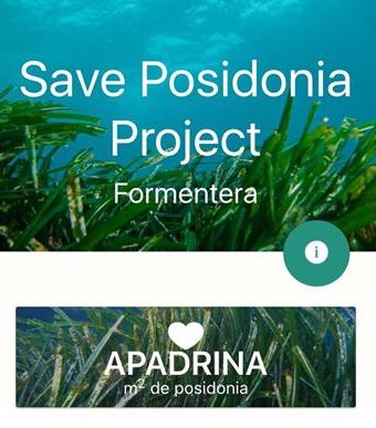 Apadrinar posidonia